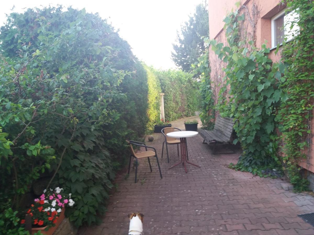 Apartman Na Skale Kostelec nad Orlicí Εξωτερικό φωτογραφία
